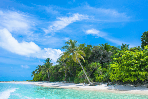 The caribbean island massage